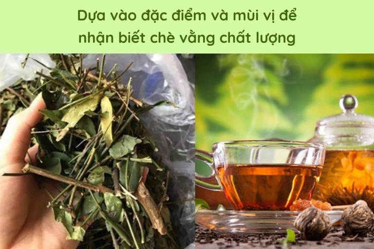 Phân biệt chè vằng chất lượng qua đặc điểm và mùi vị khi uống