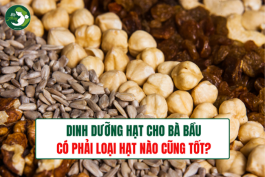 dinh dưỡng hạt cho bà bầu