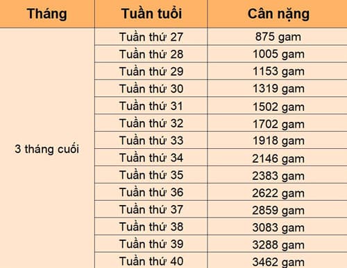 cân nặng tiêu chuẩn của thai nhi 3 tháng cuối